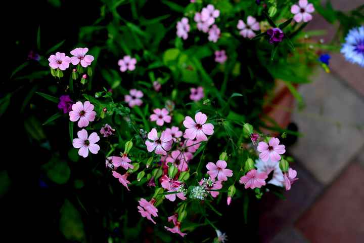 Vi auguro  una bella giornata come la nostra - 22