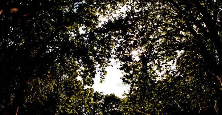 Vi auguro  una bella giornata come la nostra - 22