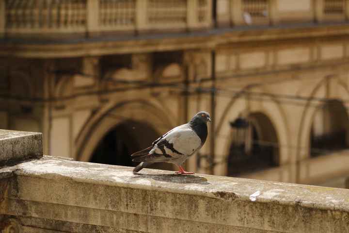 Vi auguro  una bella giornata come la nostra - 44