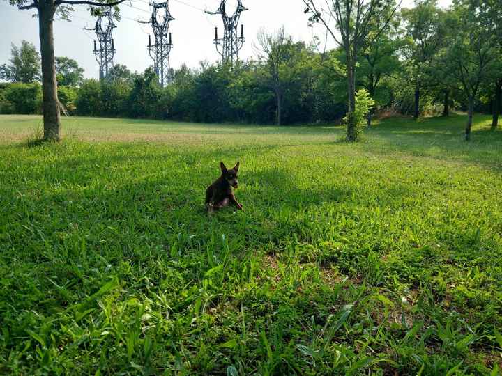 Vi auguro  una bella giornata come la nostra - 9