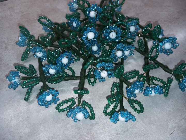 Vi auguro  una bella giornata come la nostra - 1