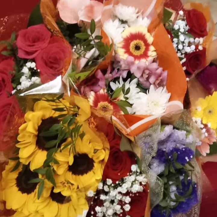 Vi auguro  una bella giornata come la nostra - 4