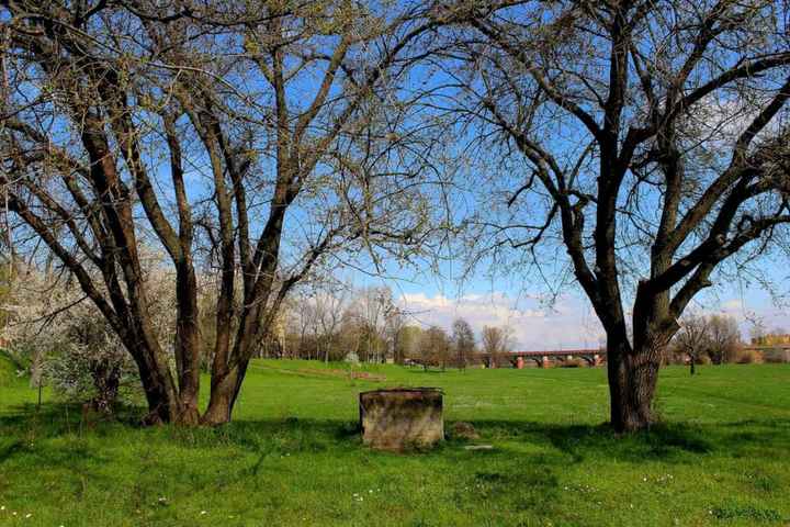 Vi auguro  una bella giornata come la nostra - 33