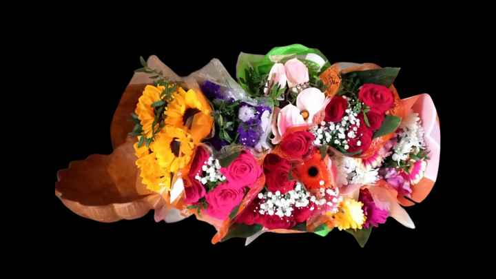 Vi auguro  una bella giornata come la nostra - 3