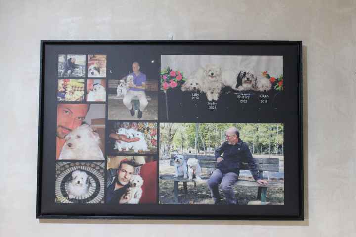 Vi auguro  una bella giornata come la nostra - 2