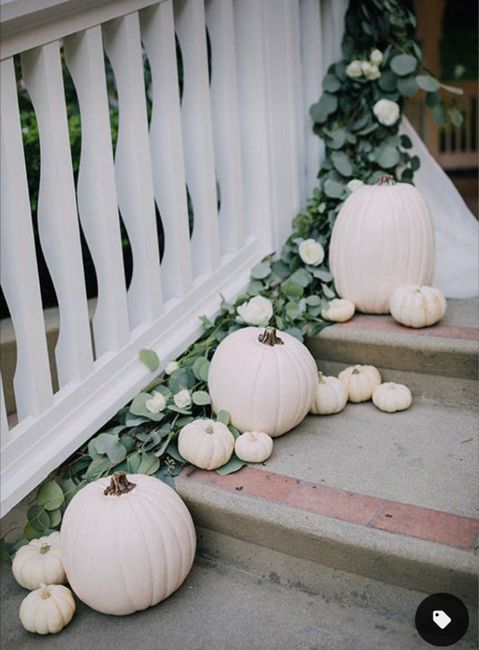 Matrimonio autunnale - 4