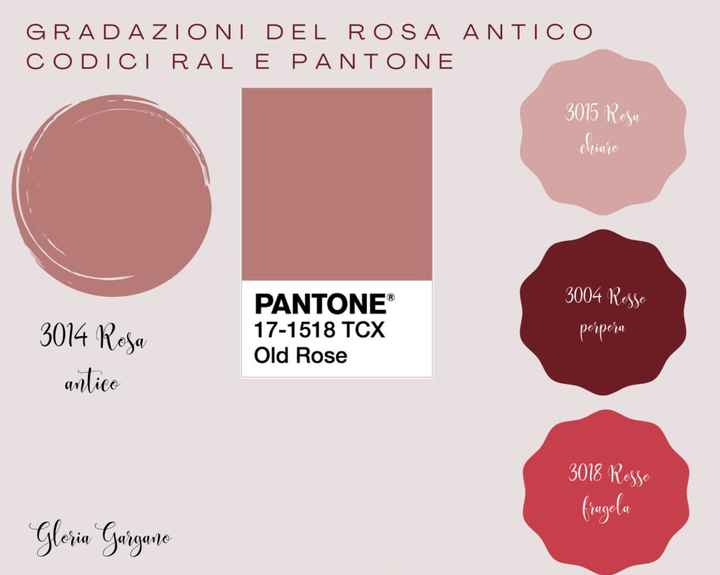 Che rosa è?  Antico o cipria ? - 1