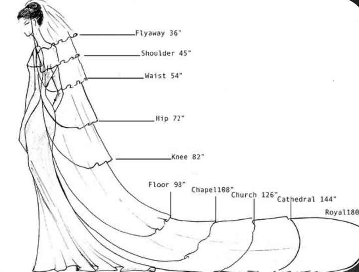 Velo: classico intramontabile o vintage opinabile? - 1