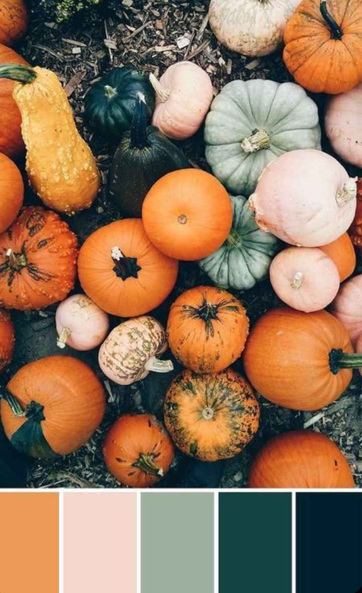 Matrimonio autunnale - 1