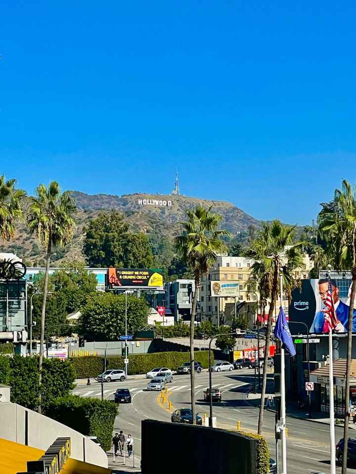 La luna di miele dei sogni🌴 - 1