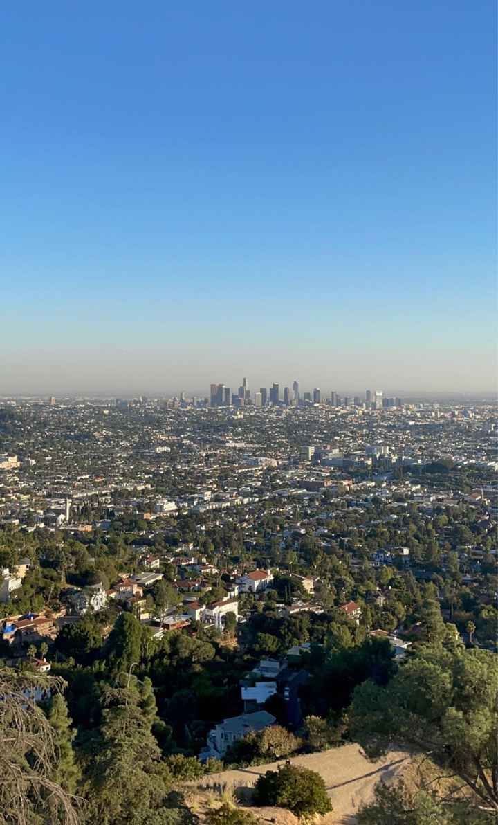 La luna di miele dei sogni🌴 - 2