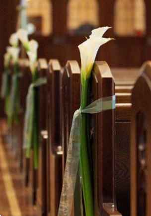 Mal… ehm benedetti fiori 😅 - 2