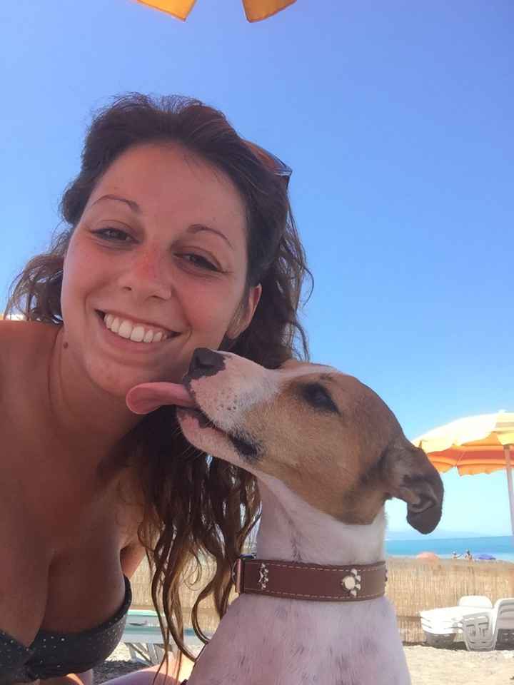  Un cucciolo come paggetto - 1