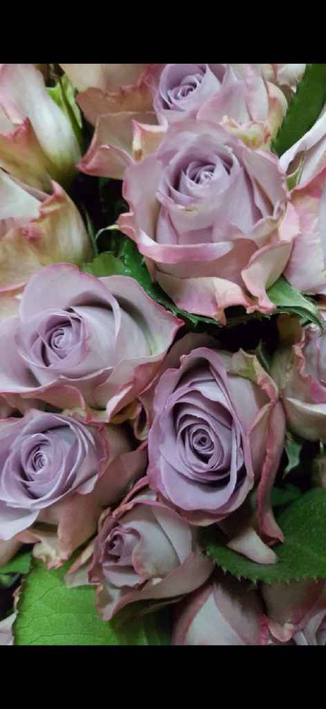 Colore matrimonio - 1