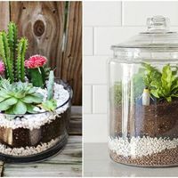 Che ne dite di questa idea sulle bamboniere? - 1