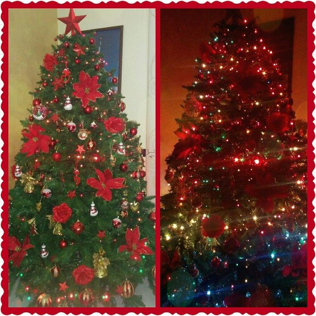 It's christmas time! mi fate vedere i vostri alberelli? - 1