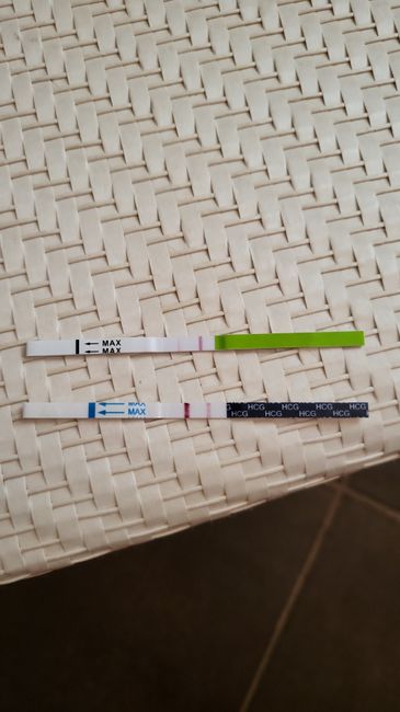 Test ovulazione usato come test gravidanza? - 1