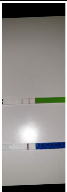Test ovulazione usato come test gravidanza? - 1