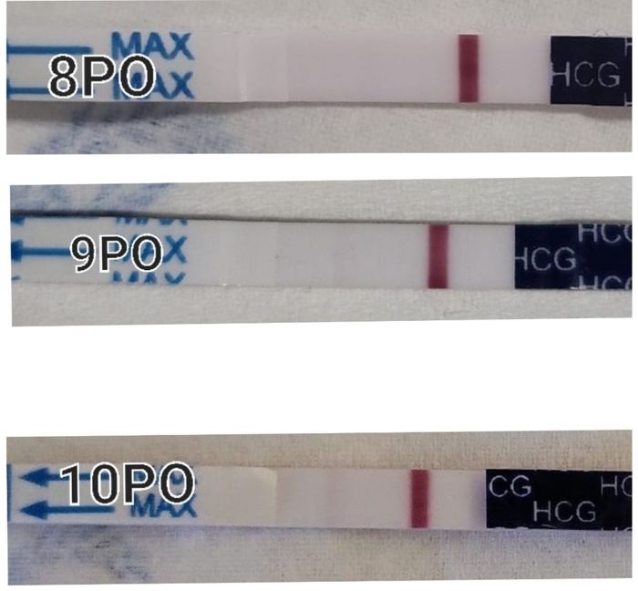 Chi non le aspetta per Luglio 2022🤰🎀💙 - 1