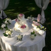 Torta nuziale: bianca, colorata o... - 1