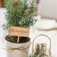 Aiuto per i fiori - 3