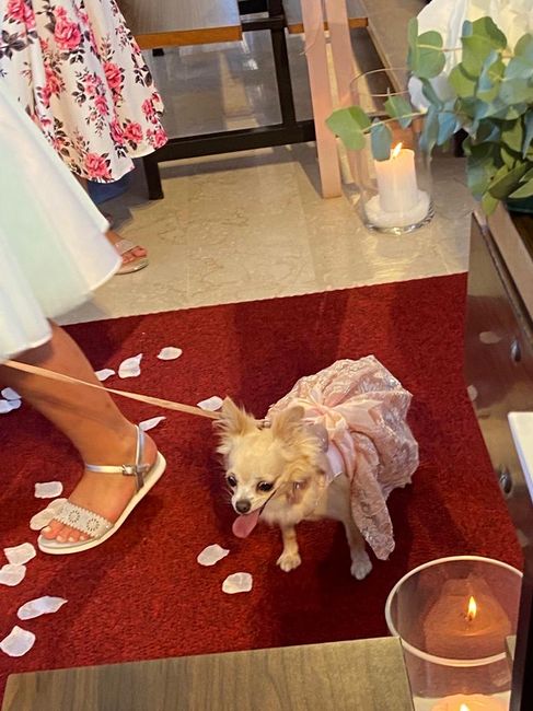 20 Agosto 2022 👰🏽‍♀️❤️🤵🏽 17