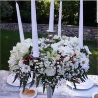 Colore matrimonio - 4