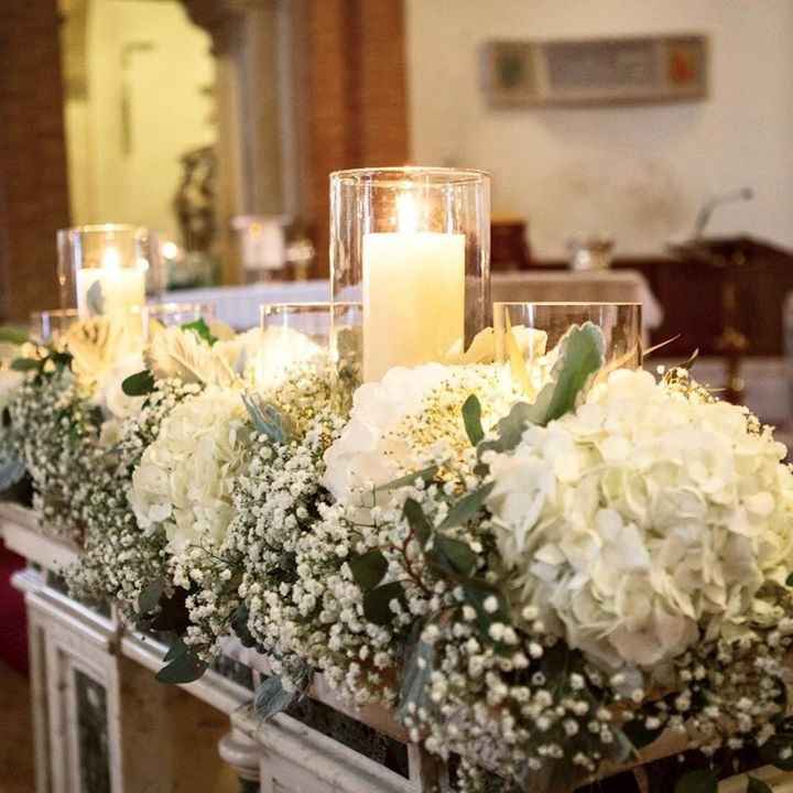 Ortensie che spettacolo