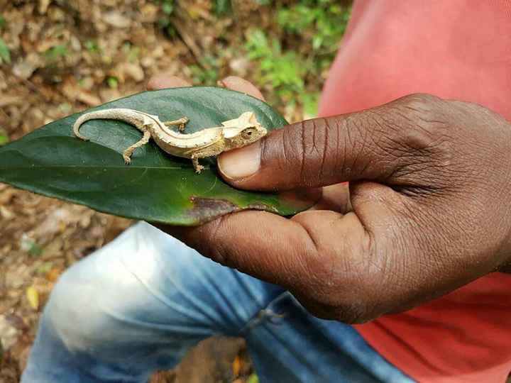 Madagascar... per sempre nel mio cuore! - 13