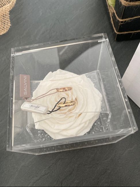 Felicità 😁 -56 1