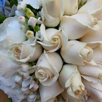 Il mio bouquet: e il vostro parla di voi? - 1