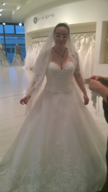 vi piace il vestito ke ho scelto