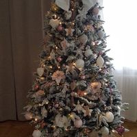  Il nostro primo albero di Natale - 2