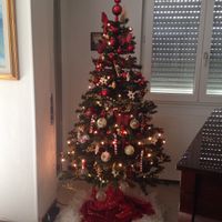I nostri alberi di Natale
