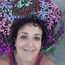 Aglaia
