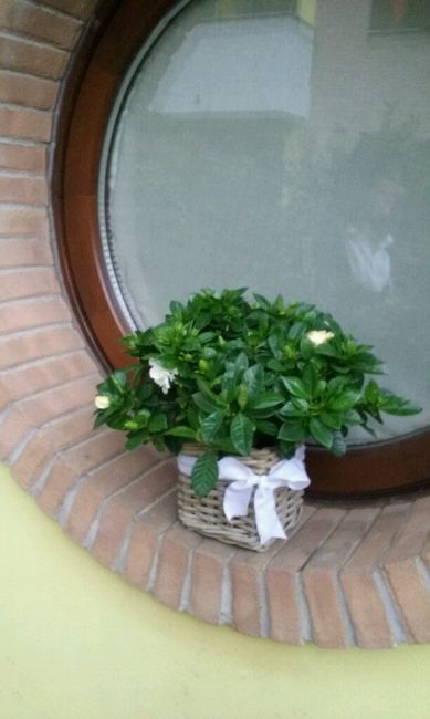 -1 giorno e 15 ore..il cuore mi esplode - 5