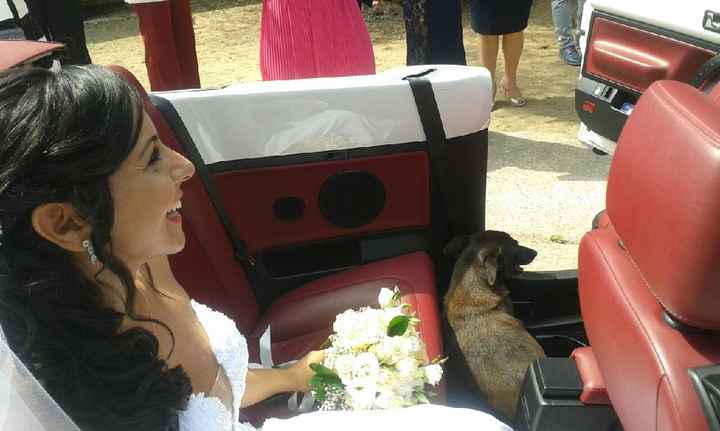 Un giorno meraviglioso! - 6