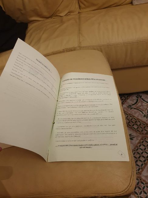 Il mio manuale della "testimone perfetta" 2