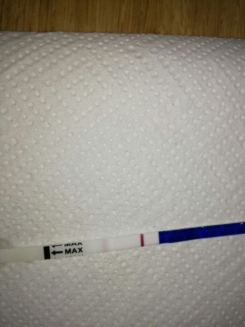 Conronto e conforto - 2