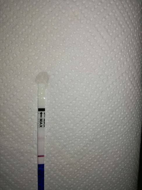 Conronto e conforto - 3