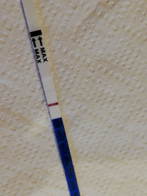 Linea o non linea? 3