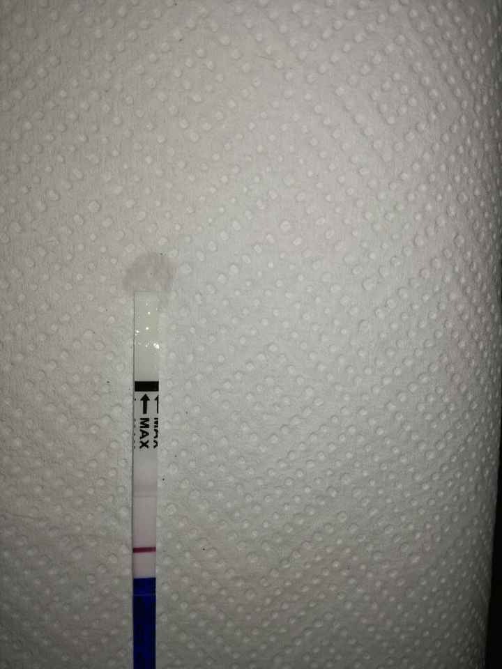 Conronto e conforto - 3