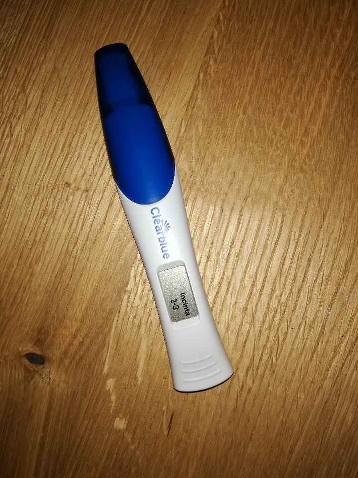 Mamme di ottobre 2019 - 1