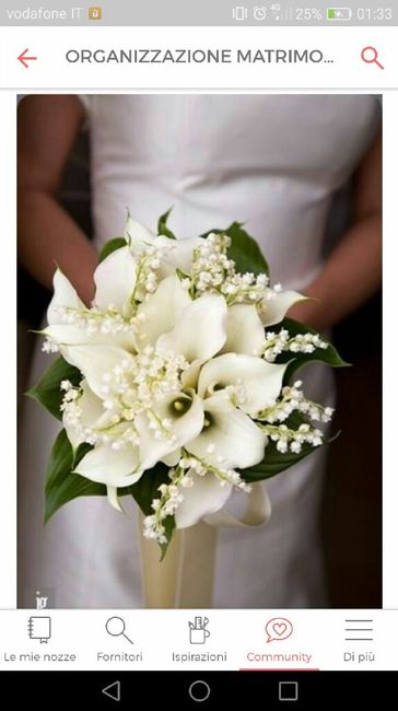 Bouquet di calle gambo lungo - 1