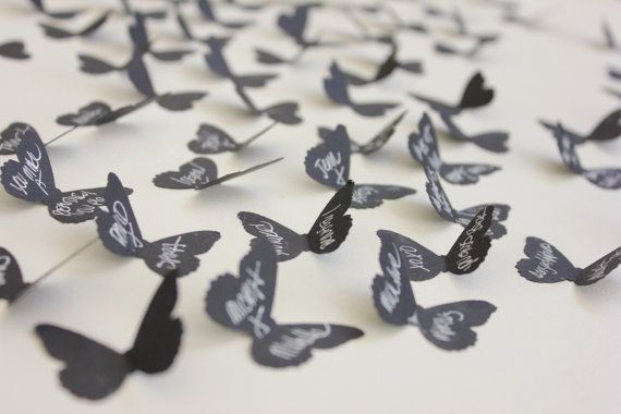 guestbook tema farfalle