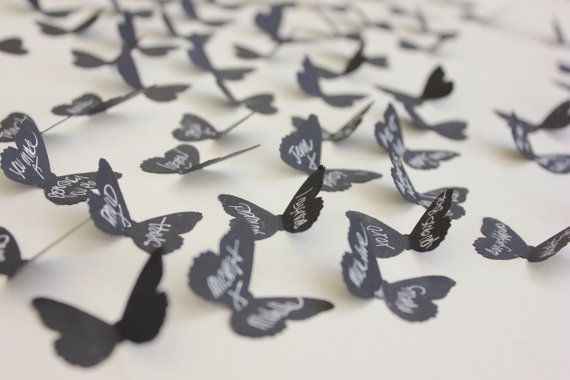 guestbook tema farfalle