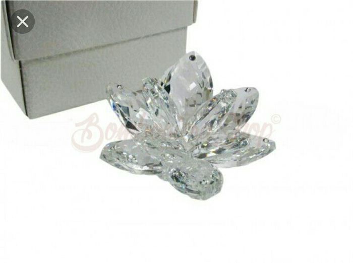 Tema fiori e cristalli 13