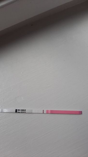 Chi non le aspetta per fine Maggio - 1