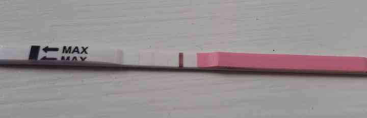 Chi non le aspetta per Maggio 2020 - 1