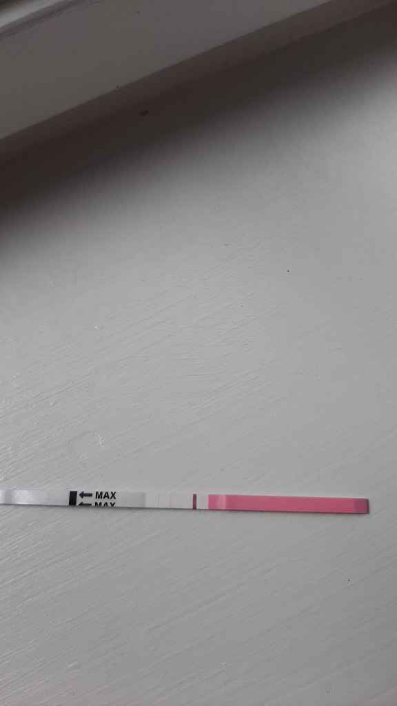 Chi non le aspetta per fine Maggio - 1